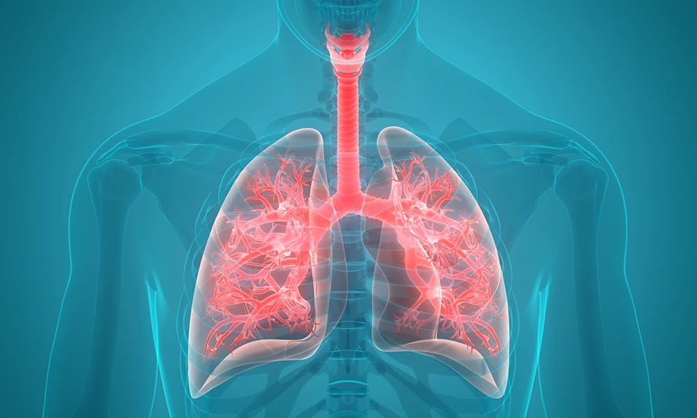 Stripping Away The Stigma Of Lung Cancer: Increasing Awareness And Support