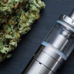 Munchies for mutts- Elevate your dog’s health with CBD treats