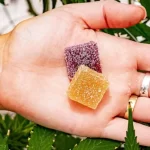 CBD gummies can revolutionize your bedtime routine